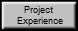 Project 
 Experience