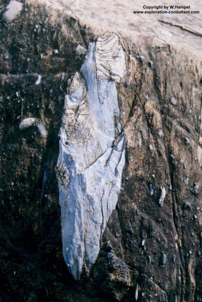 Kamuri Mining District: stromatolitic dolomite in conglomerate (Upper Proterozoic Pirandong Series)
